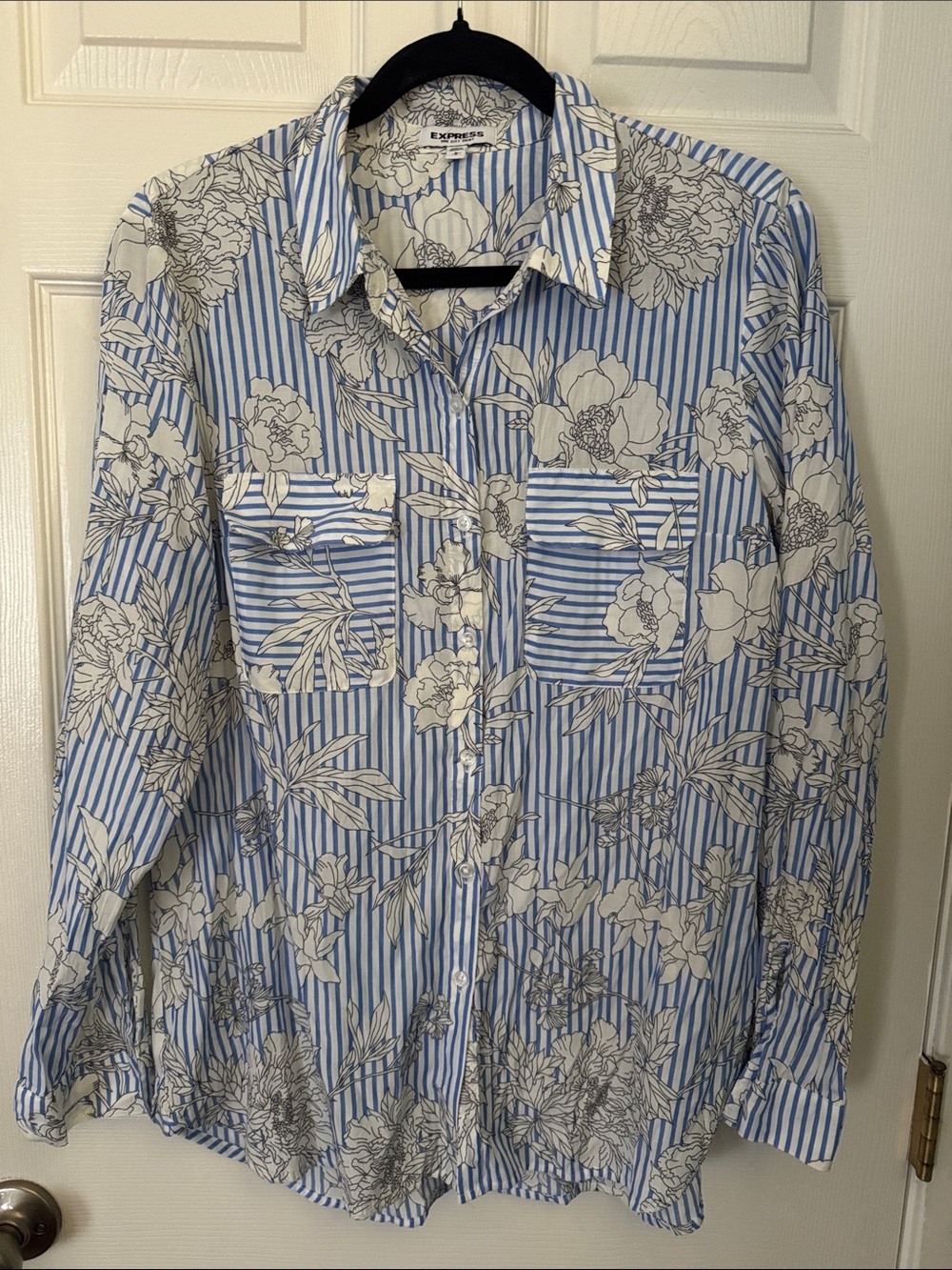 Express Men's Blue and White Floral Striped Button-Down Shirt